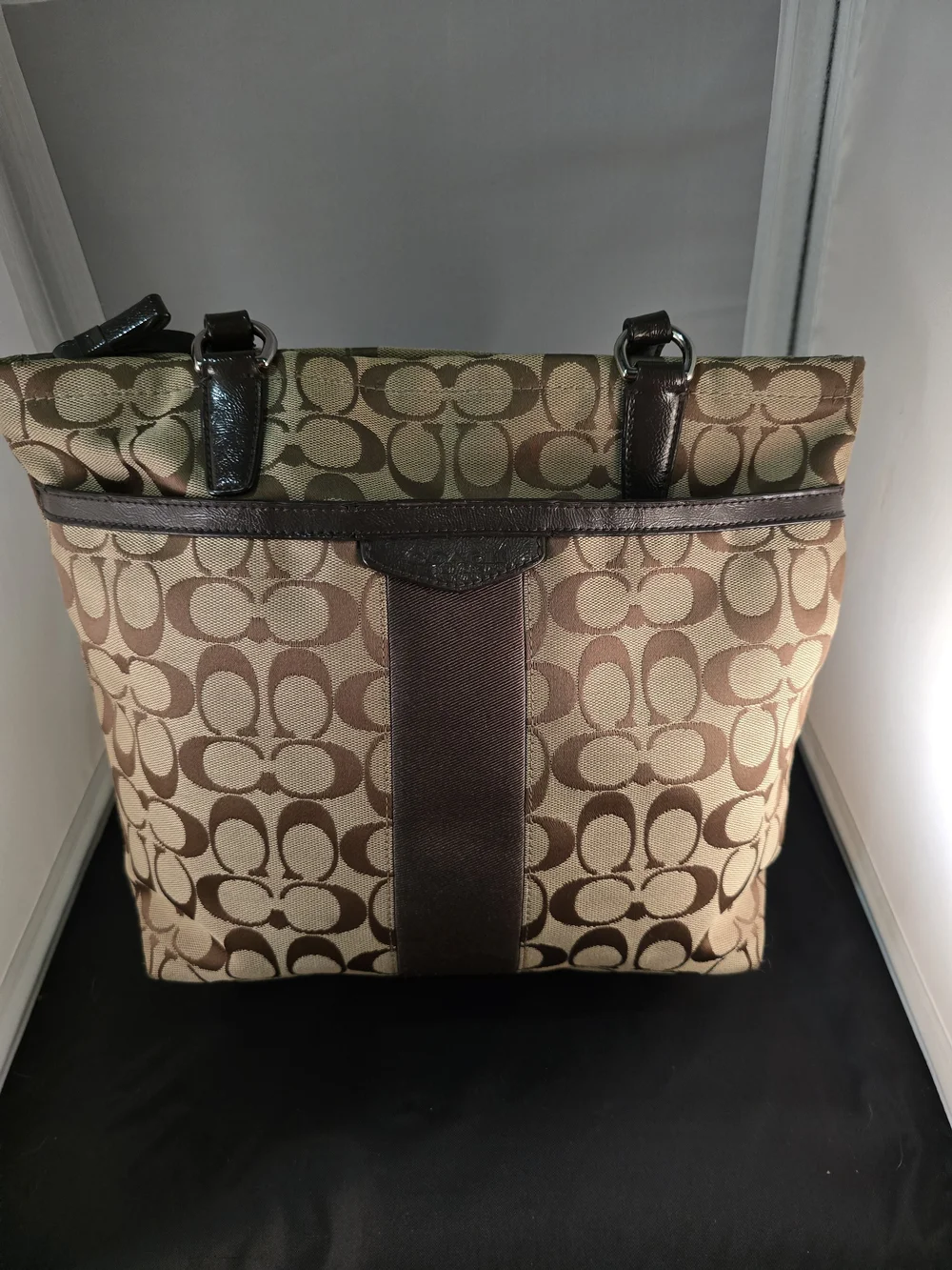 Coach Signature Canvas Tote Bag in Brown